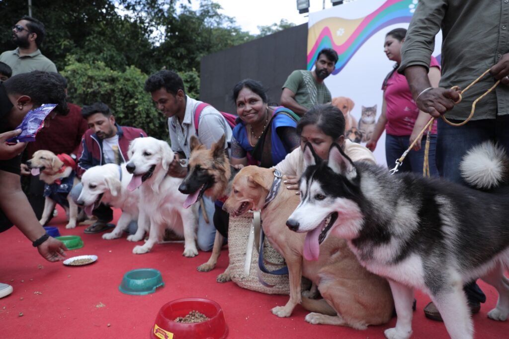 PetGala – Delhi NCRs biggest Pet gathering this Sunday on 19th February at Noida Expo Centre in Delhi-NCR
