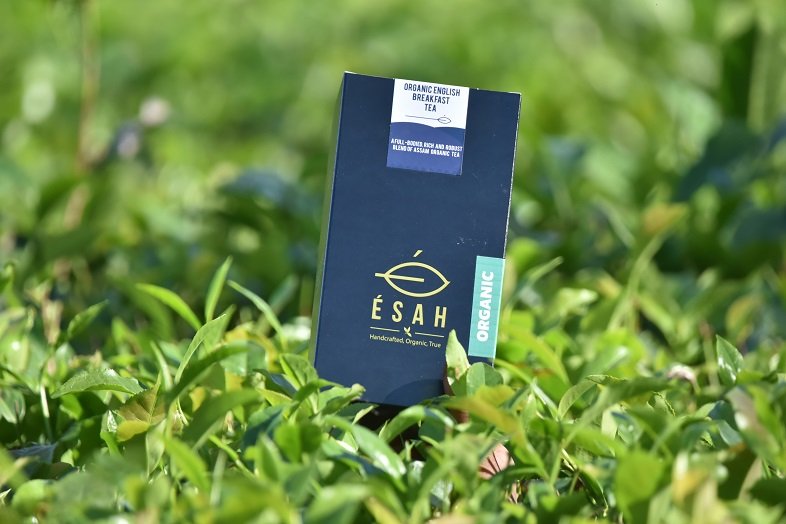 Assam Based D2C Tea Brand Esah Tea raises 3 Crore in Pre-series A from NEDFi Ventures