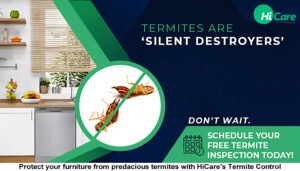 Protect your furniture from predacious termites with HiCare’s Termite Control